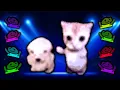 Download Lagu 2 Hours Of Non-Stop Dancing