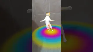 بص بص Shorts  بص بص Shorts