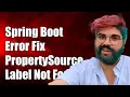 Spring Boot Error Could Not Locate PropertySource - Label Not Found Fix