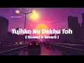 Download Lagu Tujhko Na Dekhu Toh Jee Ghabrata Hai - Slowed \u0026 Reverb | Jaanwar | Udit Narayan | Sunidhi Chauhan