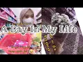 Download Lagu A day in my life : jajan boba, pasar bunga, supermarket, etc