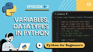 Python Variables Data Types Tutorial 2025 Python for Beginners Episode-2