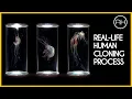 What is Human Cloning What s The Process For Human Cloning AH Documentary