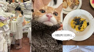 육묘에 지친 나..🐱카페 대청소,동묘 빈티지 쇼핑,혼자 파스타 먹으러 간 일상