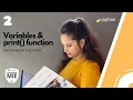 Programming in Python - Variables print function