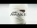 Download Lagu Skillet - Awake (2009)