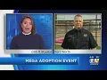 Hundreds Of Fort Worth Shelter Pets Could Finally Find Homes At Mega Adoption Event