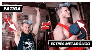 🔴 HIPERTROFIA MUSCULAR ¡No confundas estos términos! 🔴
