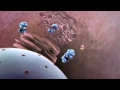 Download Lagu Flu Attack! How A Virus Invades Your Body | Krulwich Wonders | NPR