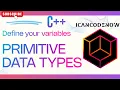 Primitive build-in Data Types Explained - Declare Variables
