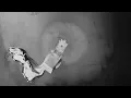 HVOB - Cool Melt [Official]