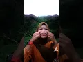 Download Lagu PENAMPAKAN MONSTER DI BELAKANG SREPEPET