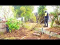 Download Lagu The Neighbour was SHOCKED when we Cleared this Overgrown Disaster!