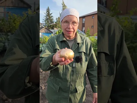 Руки отвалятся столько косить!