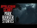 Download Lagu Scary Park Ranger Stories in Appalachian Mountain | Forest Ranger, National Park, Missing Person