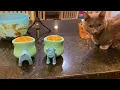 3-Ingredient Frozen Dog Treat for Cooper West Paw Toppl