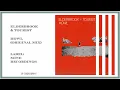 Elderbrook & Tourist • Howl (Original Mix)