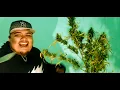 APSONG -  SEÑAL - ZOKAE EN EL BEAT