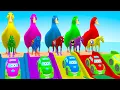 Download Lagu Best Long Slide Game With Cow Elephant Gorilla Hippopotamus Tiger 3d Animal Game Funny 3d Animals