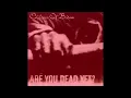 Children Of Bodom - Punch Me I Bleed (C#)
