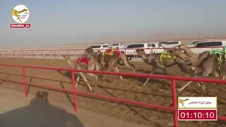 الشوط 12 الشاهينيه لـ محمد حمد راعي قحير الدرعي 1 49 30 شارة الصندوق 2023 03 26 فطامين الرقيعات 