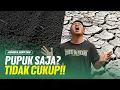 Lagu TANAH SUBUR ITU BUKAN KARENA PUPUK‼️TAPI KARENA BAHAN ORGANIK‼️
