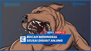 Download Kronologi Bocah Perempuan Meninggal Seusai Digigit Anjing Kesayangannya MP3