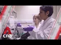 New research group to explore challenges in cell therapy