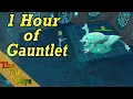 OSRS 1 Hour of Gauntlet Live Gauntlet Example Kills