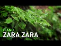Download Lagu Zara Zara (Rehnaa Hai Terre Dil Mein) Piano Instrumental