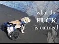 CS GO montage - wow by post malone