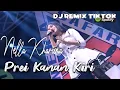 Download Lagu Prei Kanan Kiri - ♥ Nella Kharisma ( Official Music Video ANEKA SAFARI )