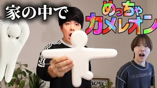 家でめっちゃカメレオンやってマイコちゃんに探させたらむず過ぎたw