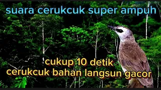 Download suara burung cerukcuk nembak ropel#terafiburung#cerukcuk MP3