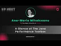 CODEstantine 7 Ana-Maria Mihalceanu - A Glance at The Java PerformanceToolbox