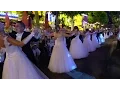 Download Lagu 2016 Andre Rieu Maastricht, Lara's Theme