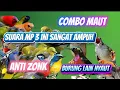 Download Lagu PIKAT BURCIL KOMBINASI SOGON RIBUT DAN KONIN RIBUT MP3 ANTI ZONK SUARA JERNIH