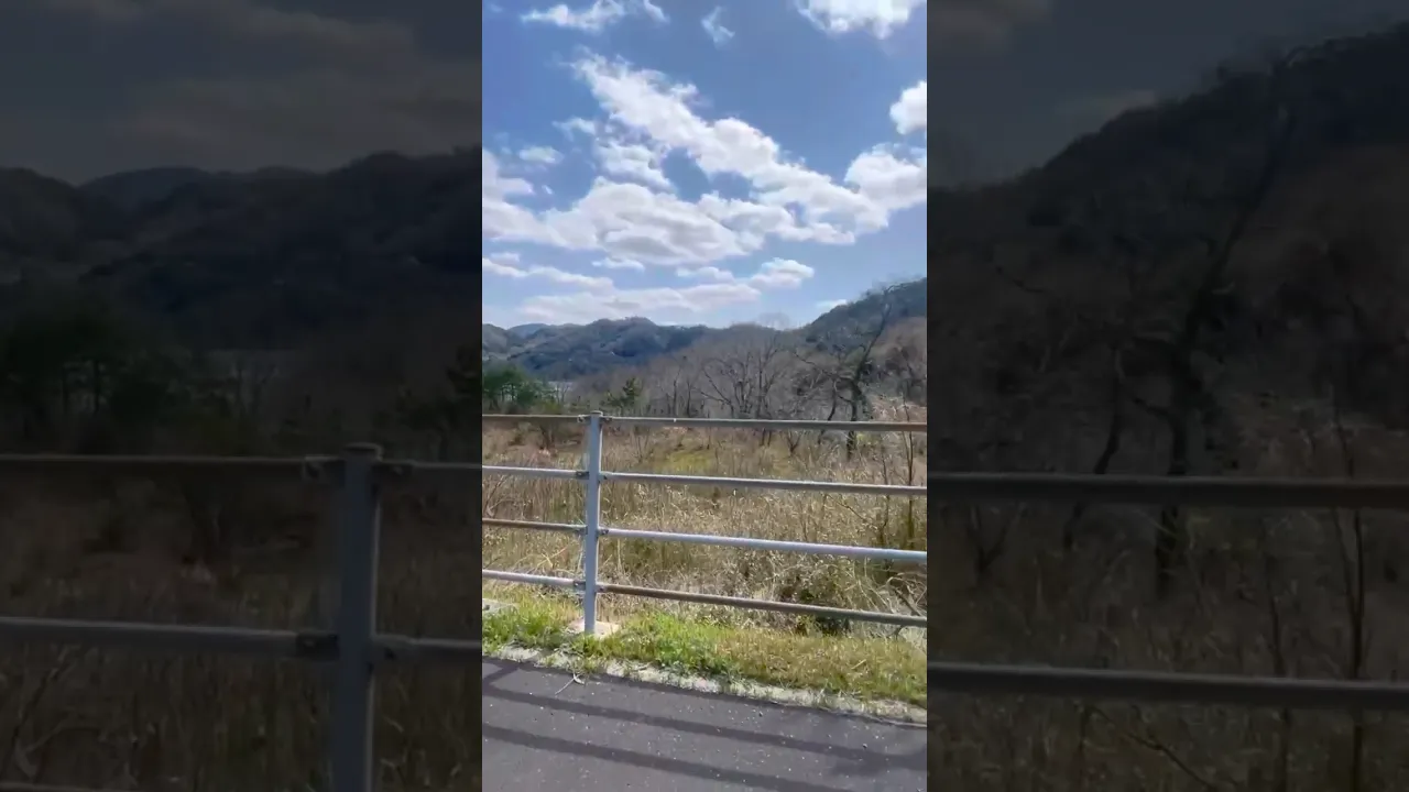 旅先でバス降り忘れ事故。#vlog #一人旅