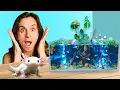 Download Lagu I Built Real Ecosystem for Axolotls