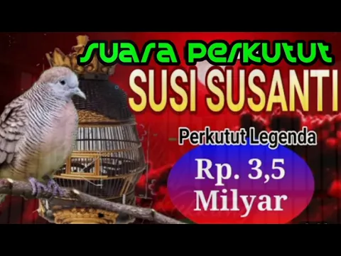 Download MP3 Suara Perkutut Susi Susanti Perkutut Legenda Rp. 3,5 Milyar