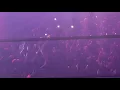 Joey Bada - Devastated Live In Seoul