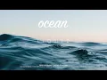 LiQWYD - Ocean [Official]