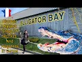 Visit the Alligator Bay Animal Park - Discover Biggest Group Of Alligator