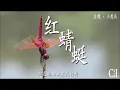 红蜻蜓~小虎队『我们都已经长大，好多梦还要飞，就像现在心目中红色的蜻蜓』【动态歌词】Red Dragonfly by Little Tigers