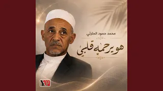 محلاه في كرسي النيابة دندنها