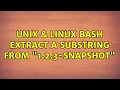 Unix Linux bash extract a substring from 1 2 3-SNAPSHOT 4 Solutions