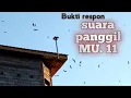 Respon Suara panggil MU. 11, file sudah dibagikan di video sebelumnya