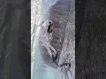 Download Lagu PADI FREEDIVING : #tiktok  #shorts  #underwater #freediving #mermaid #ocean #extreme