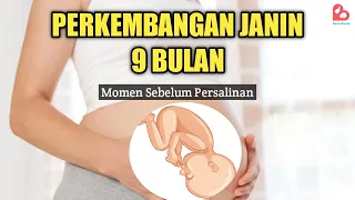 Download Perkembangan Janin 9 Bulan yang Ideal, Momen Jelang Melahirkan MP3