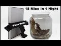 Download Lagu One Of The Best Mousetraps Ever Invented! The Wippo-Matic Mousetrap from Sweden. Mousetrap Monday